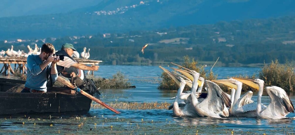 Picture 2 for Activity From Thessaloniki: Private Day Trip to Kerkini Lake