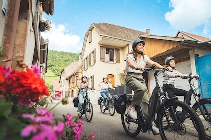 The pearls of the vineyard from Mittelwihr
