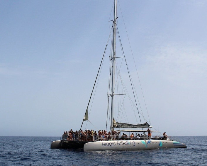 Picture 5 for Activity Fuerteventura: Magic Catamaran Trip with Food and Drinks