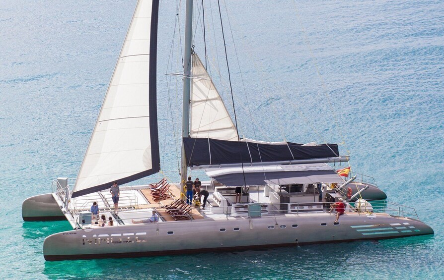 Picture 6 for Activity Fuerteventura: Magic Catamaran Trip with Food and Drinks