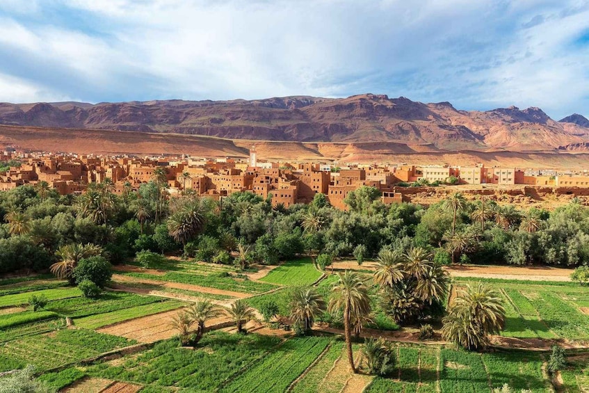 Picture 8 for Activity Fes To Marrakech: 3-Day Desert Tour
