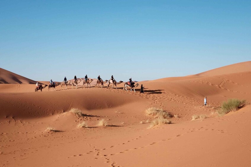 Picture 2 for Activity Fes To Marrakech: 3-Day Desert Tour