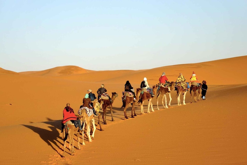 Fes To Marrakech: 3-Day Desert Tour