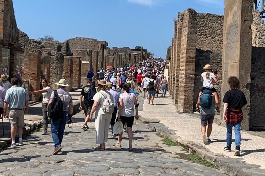 2 Hours and a Half Guided Tour in Pompeii