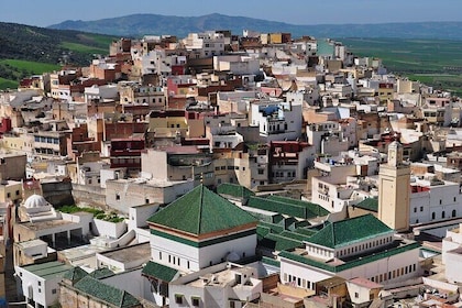 Day Trip from Fes to Meknes, Volubilis, Moulay Idriss