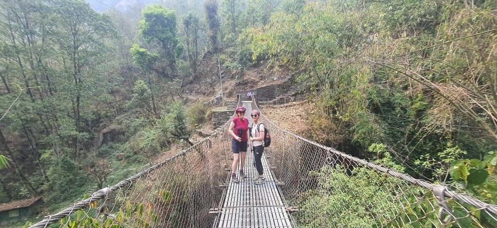 Picture 4 for Activity From Pokhara: Beautiful 2-Day Poon Hill Private Trek