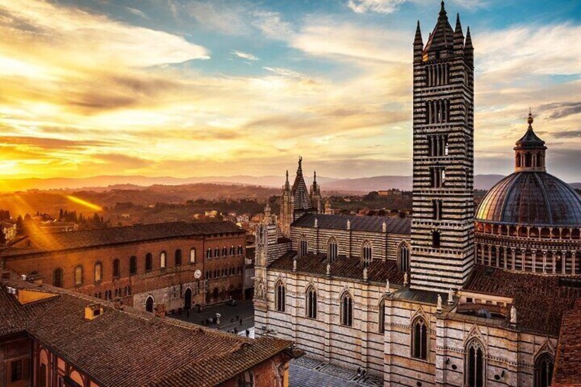 Chianti Wine Tasting & Siena Private Guided Tour from Florence