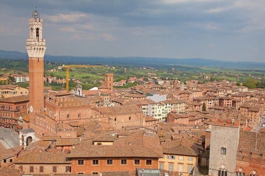 Chianti Wine Tasting & Siena Private Guided Tour from Florence