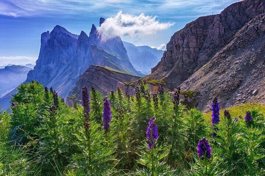 Private Tour of Dolomites in Mount Seceda and Funes Valley