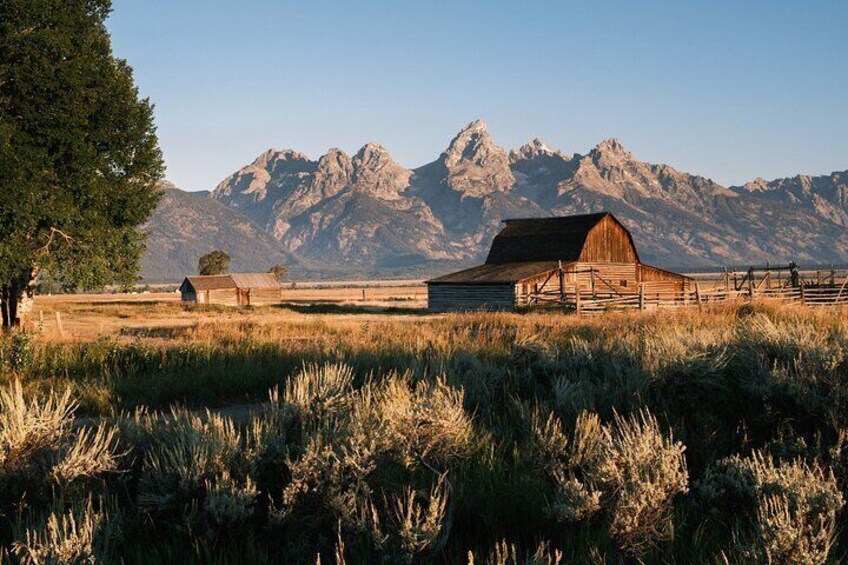 Private Bike Tour Grand Teton