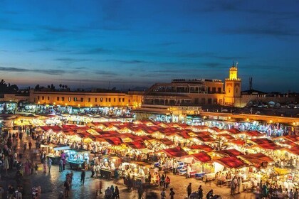 Private Marrakech excursion, camel ride or quad from Casablanca