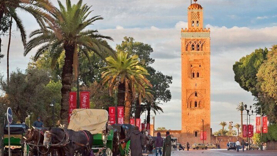 Private Marrakech excursion, camel ride or quad from Casablanca
