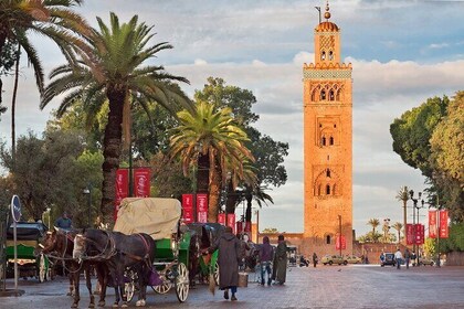 Excursión privada a Marrakech, paseo en camello o quad desde Casablanca