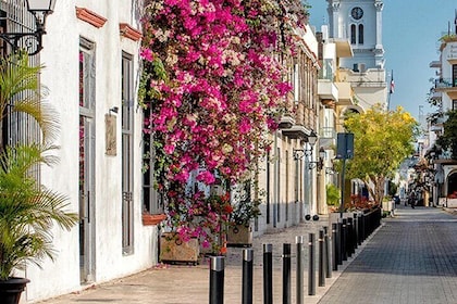 Half Day Walking Tour in the Colonial Zone of Santo Domingo