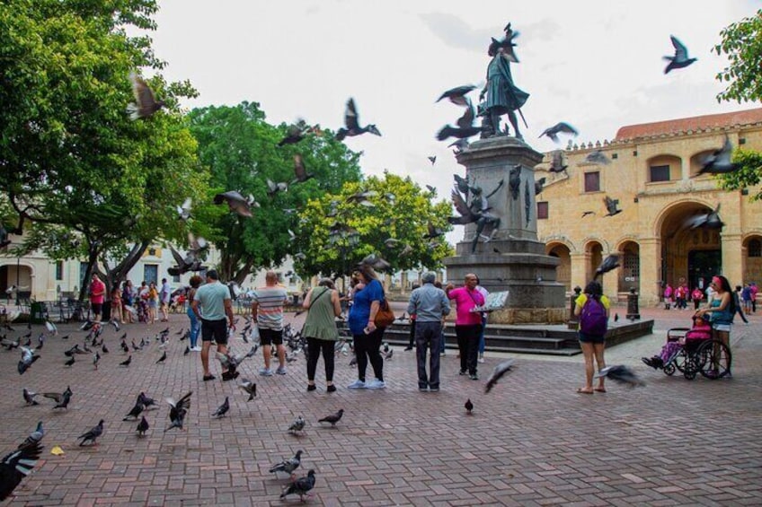 This is the famous pigeon park