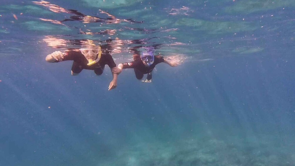 Picture 3 for Activity Snorkeling in a Volcanic Bay