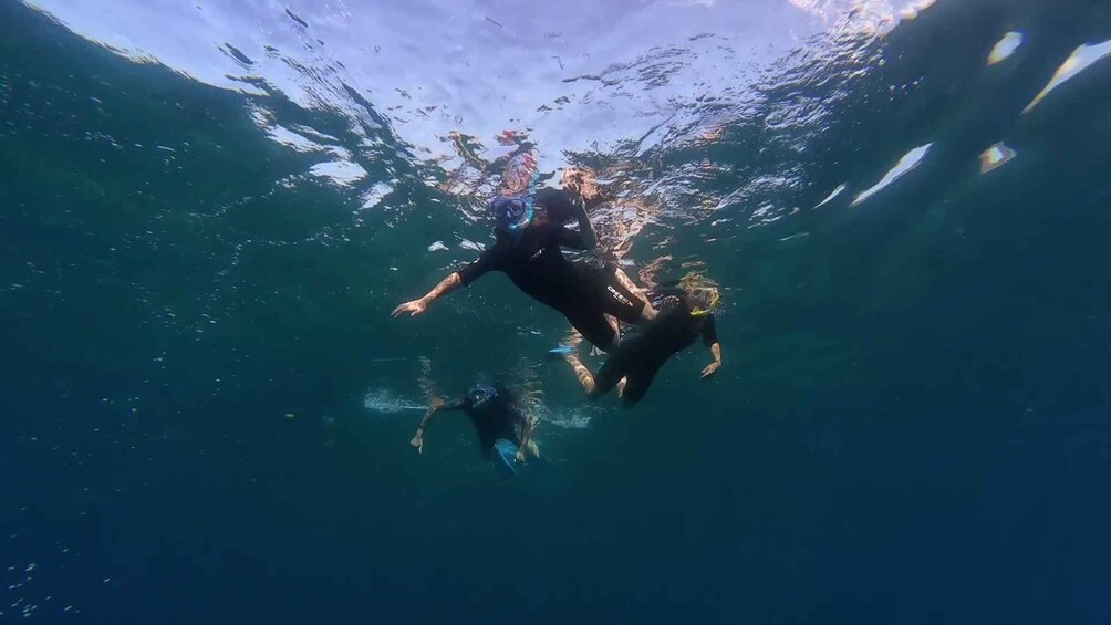 Picture 7 for Activity Snorkeling in a Volcanic Bay