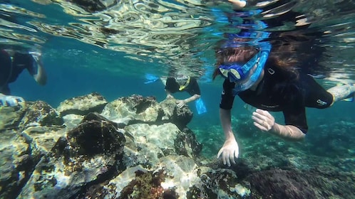 Snorkelling in a Volcanic Bay