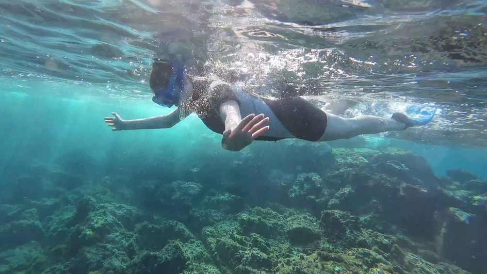 Picture 2 for Activity Snorkeling in a Volcanic Bay