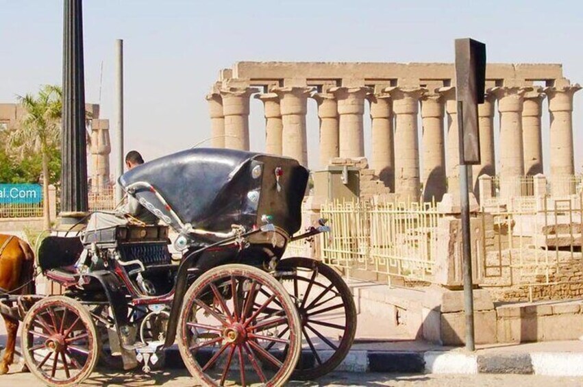 3-Hour Private Luxor Horse Carriage Experience around Luxor City