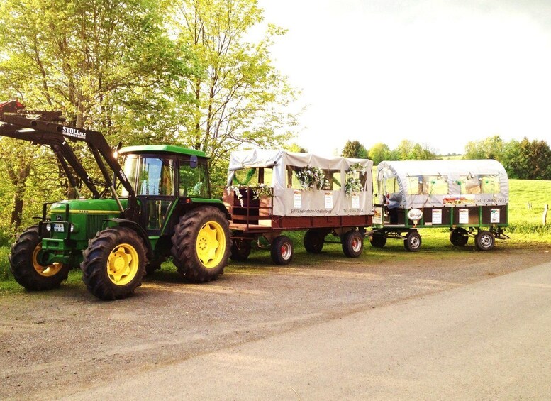 Picture 2 for Activity Stuttgart: Vineyard Tour by Covered Wagon