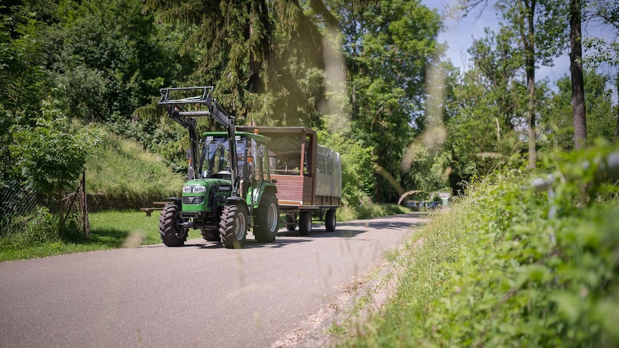 Stuttgart: Vineyard Tour by Covered Wagon