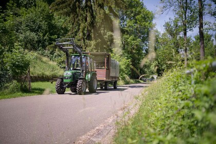 Stuttgart: recorrido por los viñedos en vagón cubierto