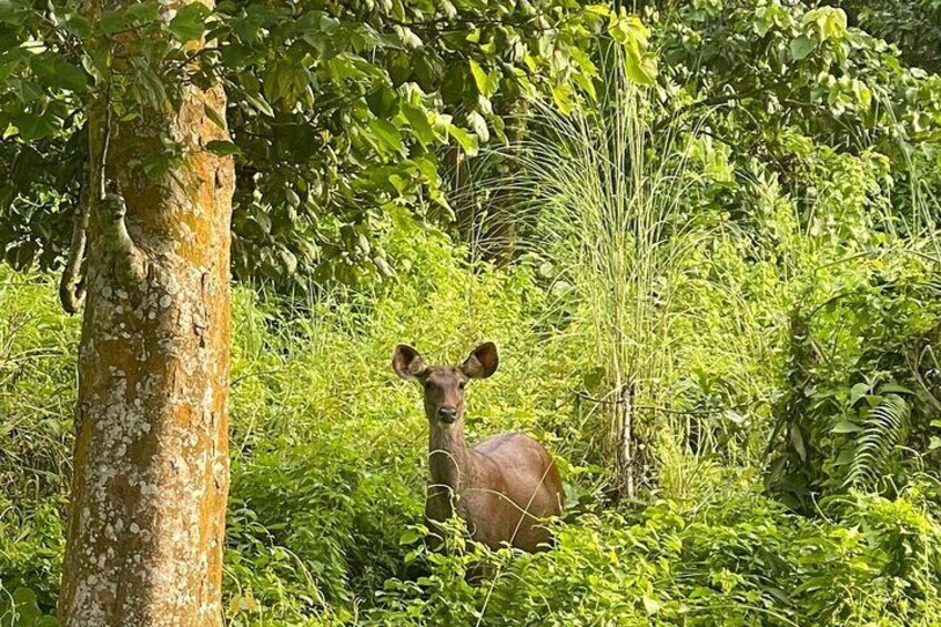 7 Days Private Tour to Nepal