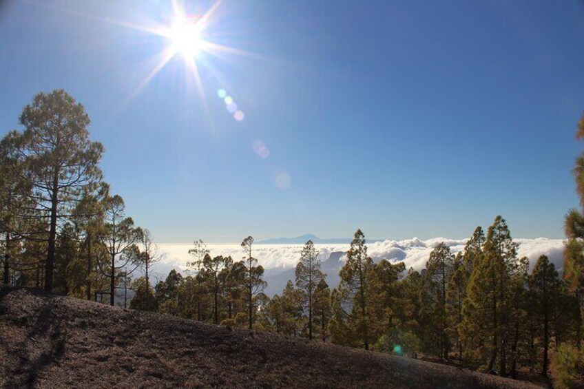 Full Day Hiking Activity in Gran Canaria