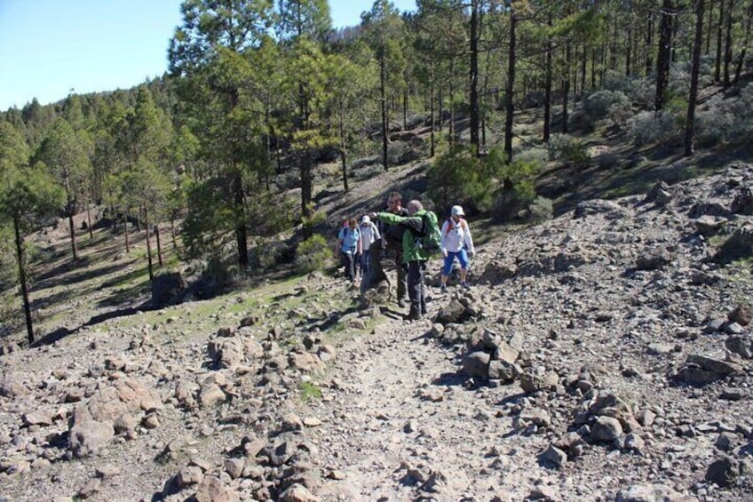 Full Day Hiking Activity in Gran Canaria