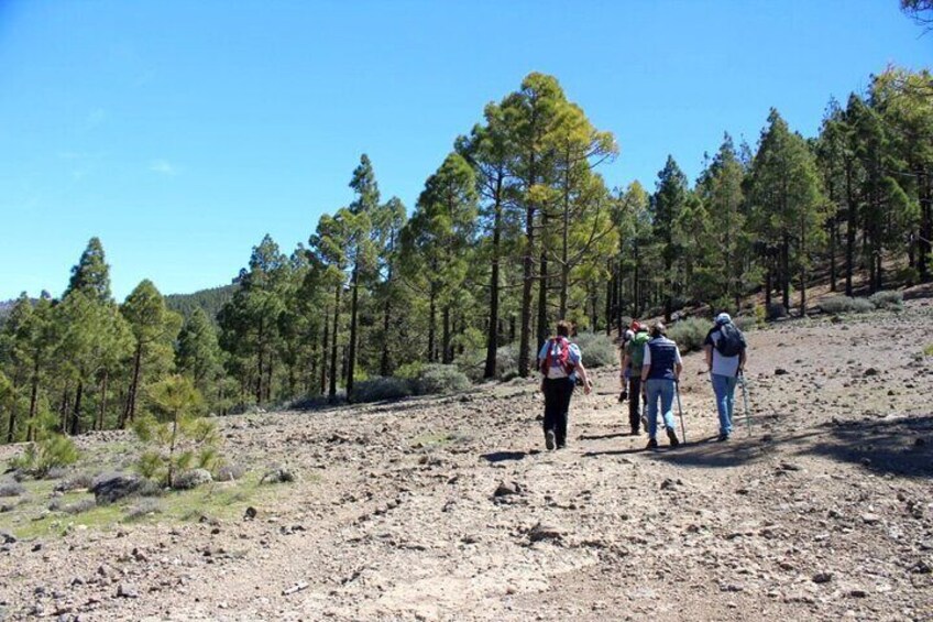 Full Day Hiking Activity in Gran Canaria