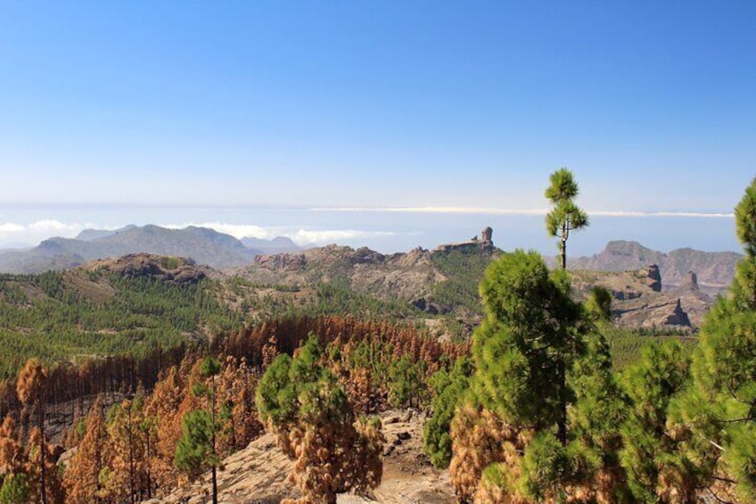 Full Day Hiking Activity in Gran Canaria