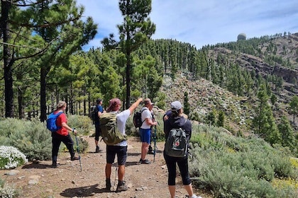 Full day Hiking Gran Canaria Peaks of Gran Canaria