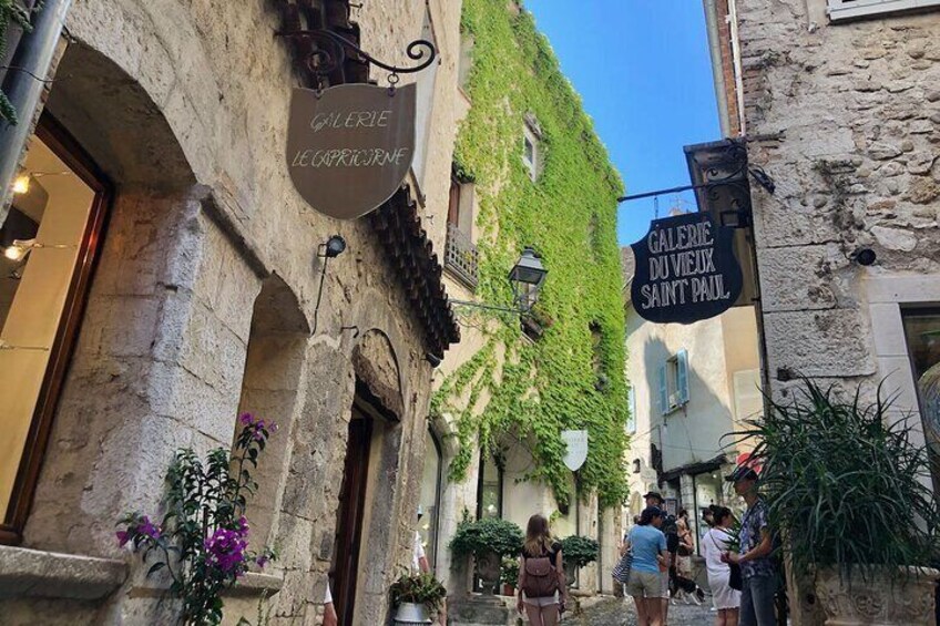 Wine tasting, Provencal market, & Countryside Full-Day Tour