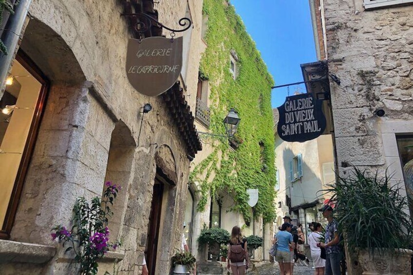 Wine tasting, Provencal market, & Countryside Full-Day Tour