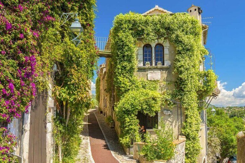 Wine tasting, Provencal market, & Countryside Full-Day Tour