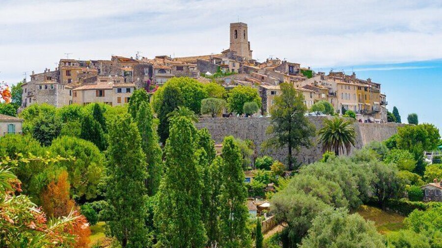 French Riviera, Wine tasting, Provencal market and Countryside