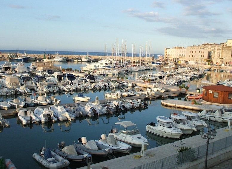 Picture 1 for Activity Bisceglie: 2-Hour Private Tour