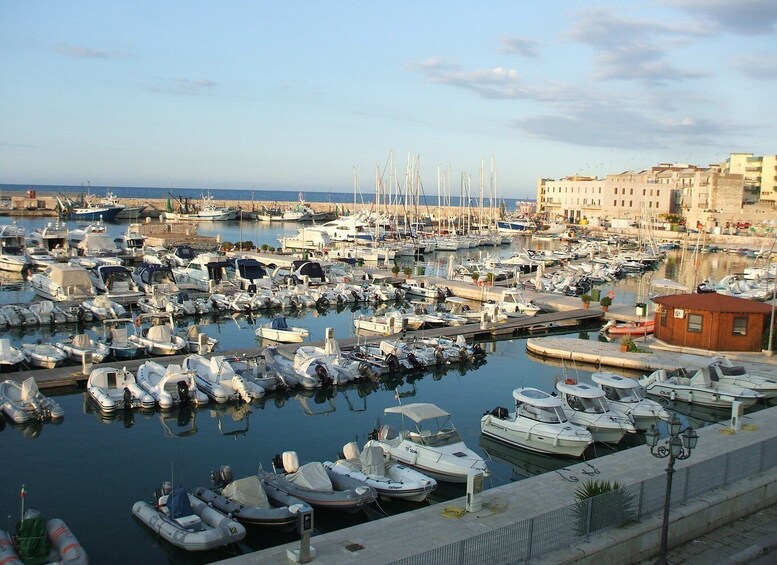 Picture 1 for Activity Bisceglie: 2-Hour Private Tour