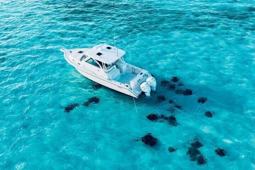 Cayman Private Luxury Charters - Stingray City, Snorkel, & More