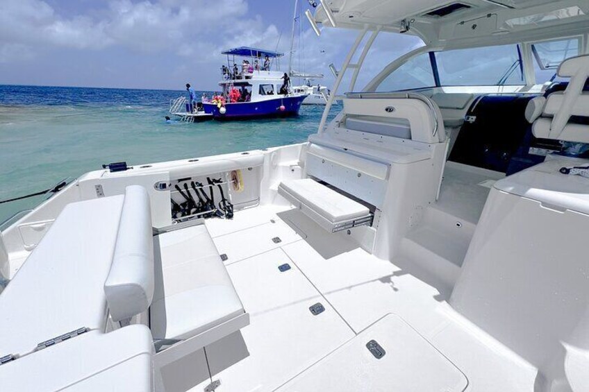 Cayman Private Luxury Charters - Stingray City, Snorkel, & More