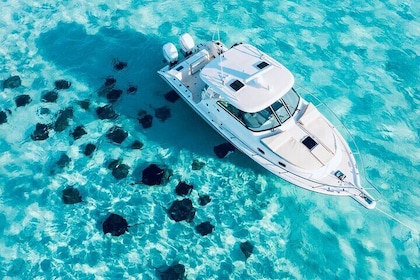 Cayman Private Luxury Charters - Stingray City, Snorkel, & More
