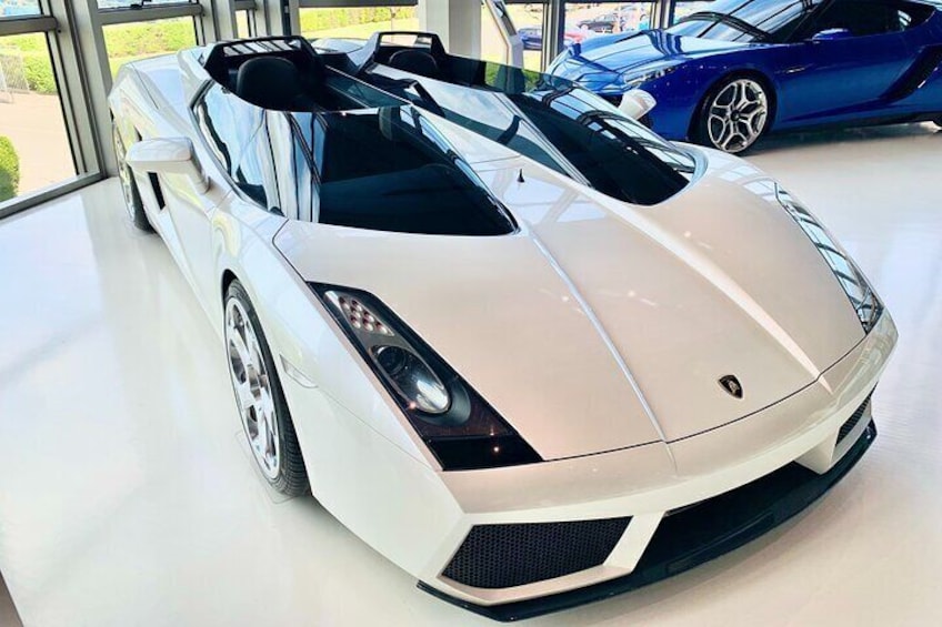 Private Guided Tour in Supercar Museum