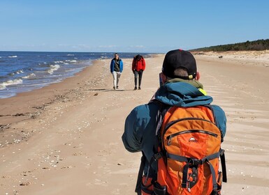 De Riga: randonnée dans la nature lettone du parc national de Slītere