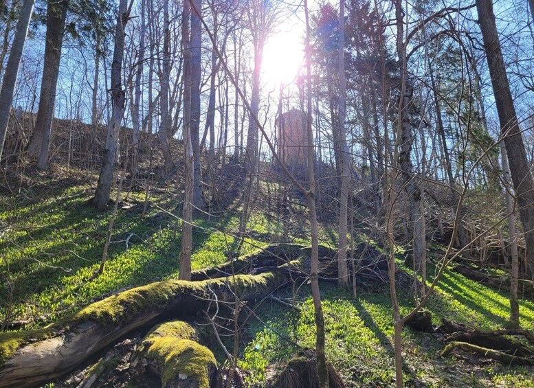 Picture 21 for Activity From Riga: Slītere National Park Latvian Nature Hiking Tour