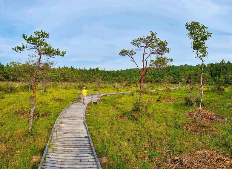 Picture 17 for Activity From Riga: Slītere National Park Latvian Nature Hiking Tour