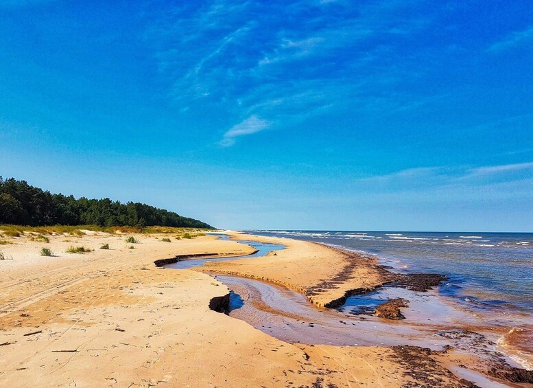 Picture 18 for Activity From Riga: Slītere National Park Latvian Nature Hiking Tour