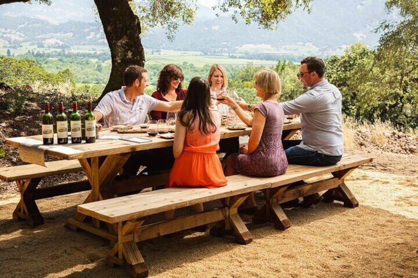 Private Wine Tour and Tastings at Dafnes Valley Wineries (Lunch Included)