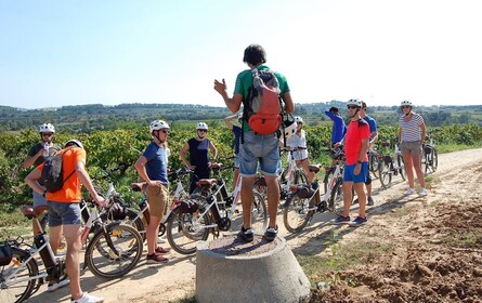 Alt Penedès: Full-Day Wine Bike Tour with Classic Bike