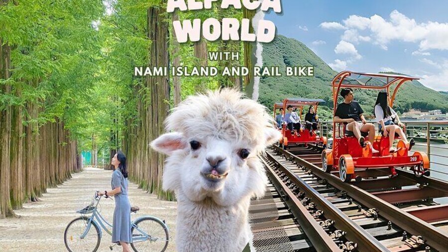 Alpaca World and Nami Island with Gangchon Rail Bike Tour
